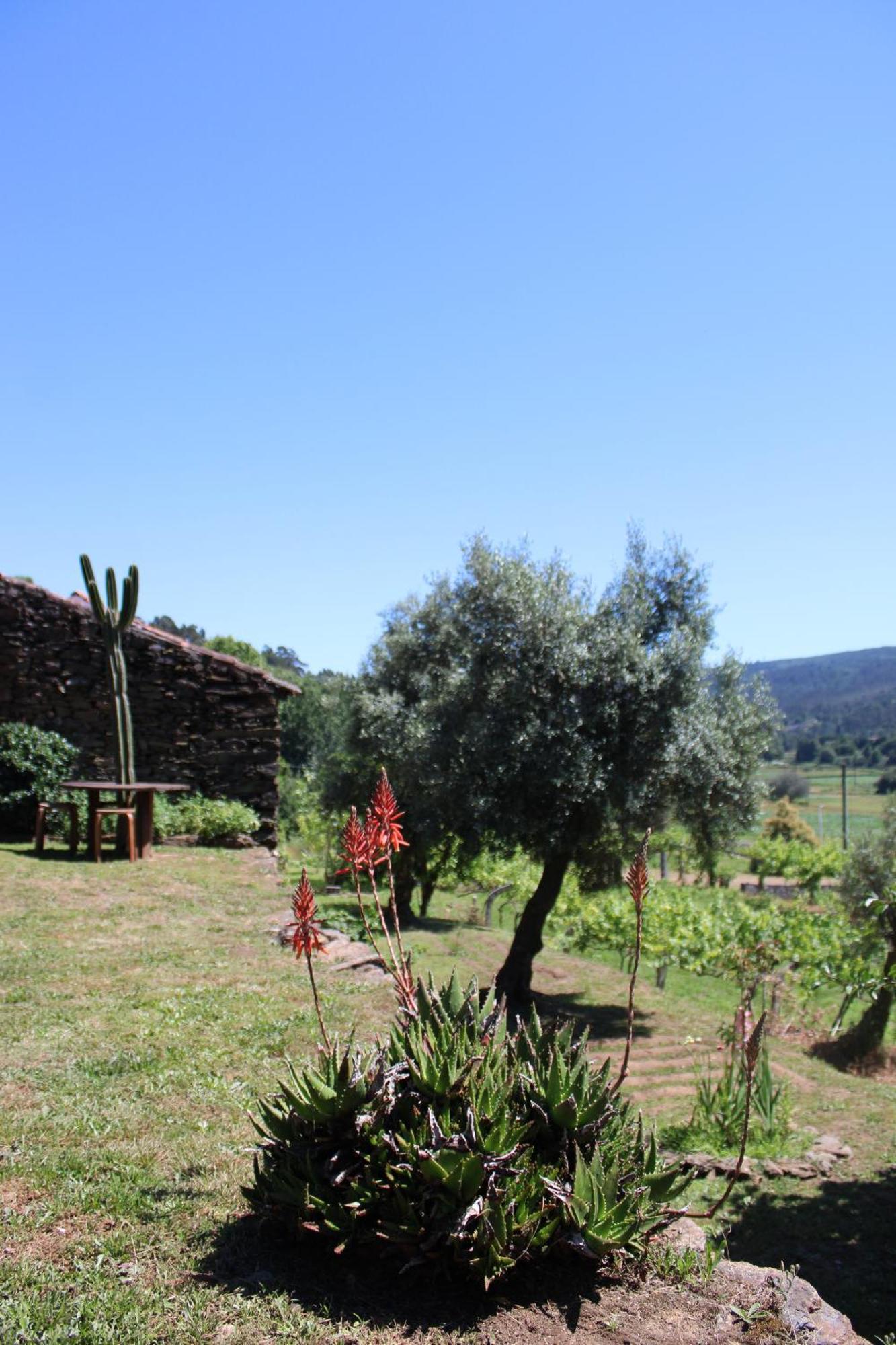 Lugar Da Lourida Villa Caminha Buitenkant foto